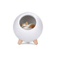 LED Cat Night Light for Bedroom Room Decoration Table Bedside Sleep Lamp