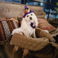Soft Fluffy Car Seat Booster for Pet Travel Carrier Bed with Long Strap