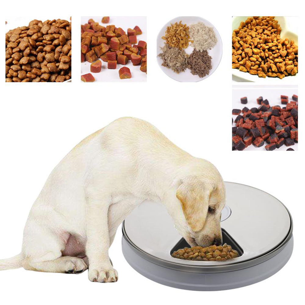 6 Meals Automatic Pet Feeder with Timer