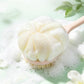 2 in 1 Double Sided Shower Brush with Loofah and Long Handle