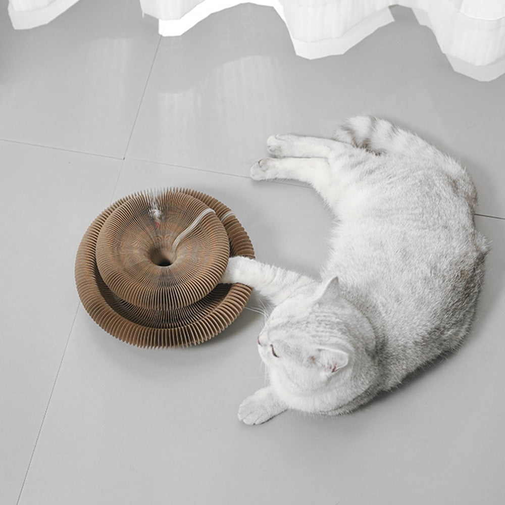 Magic Organ Cat Toy Foldable Reversible Infinity Style Cat Scratch Board