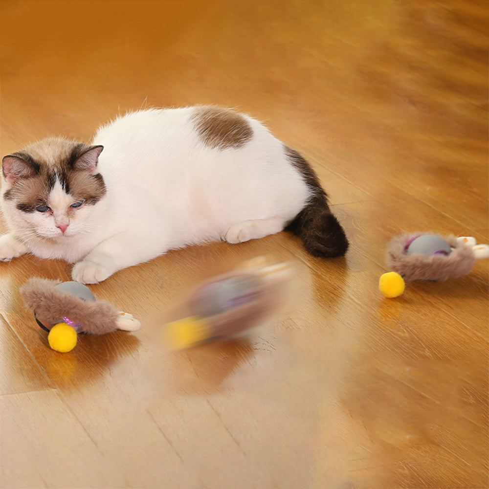Interactive Cat Ball Toy Automatic Moving Cat Ball for Indoor Play