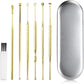 6Pcs Stainless Steel Ear Cleaning Tool Set with Storage Case