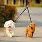 Dual Dog Leash with One Lead Coupler Nylon Harness
