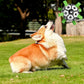 Interactive Dog Soccer Ball Toy with Handles for Training and Water Play 24cm