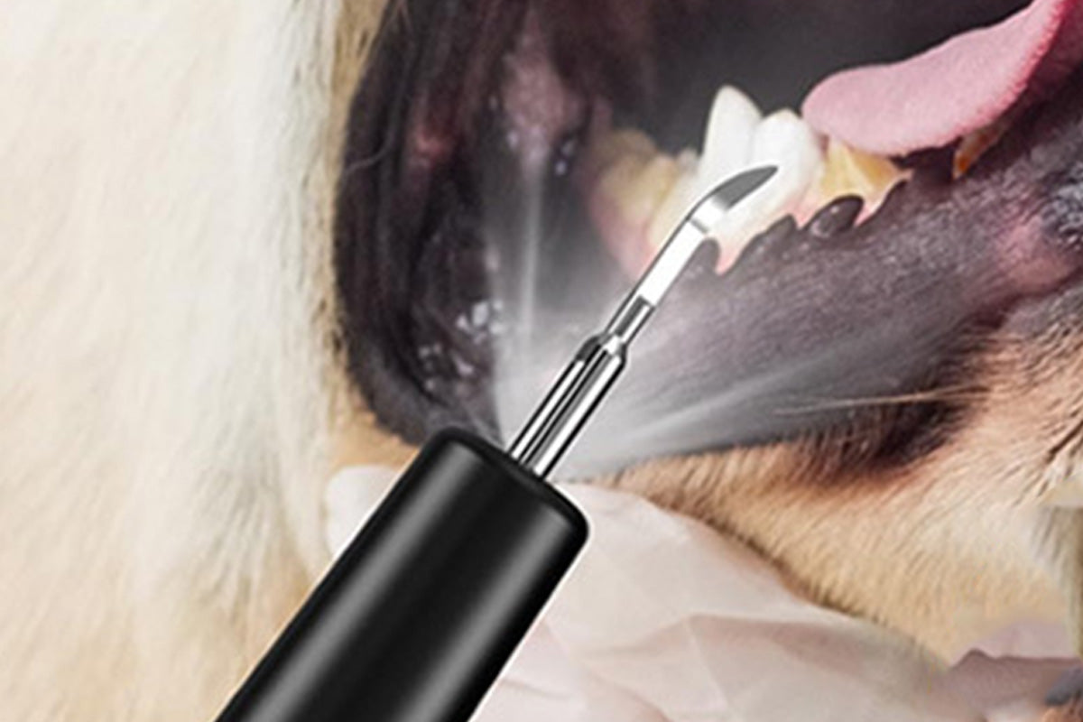 Ultrasonic Pet Plaque Remover for Dogs and Cats Electric Teeth Cleaner
