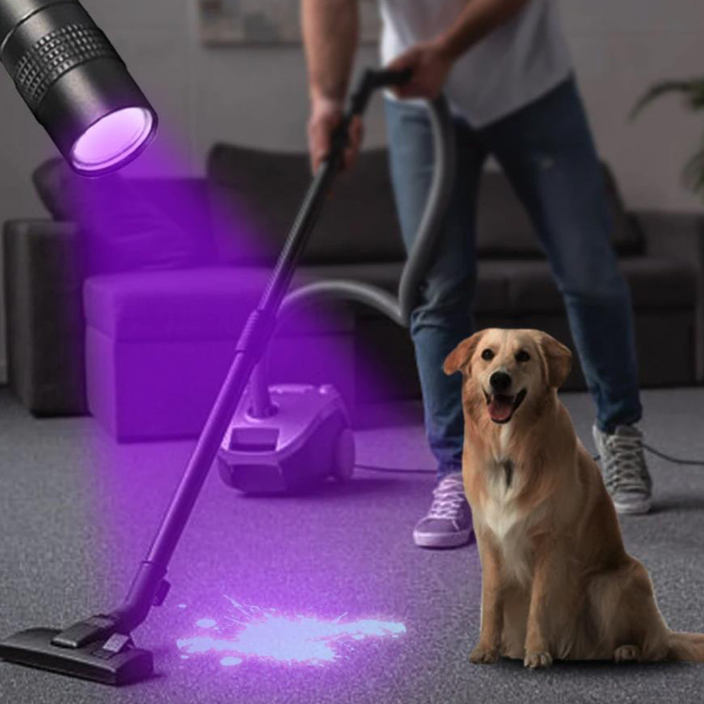 Mini Pocket Portable LED Flashlight with Clip