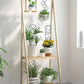 4Pcs Plant Climbing Trellis Metal Flower Plant Support Frame