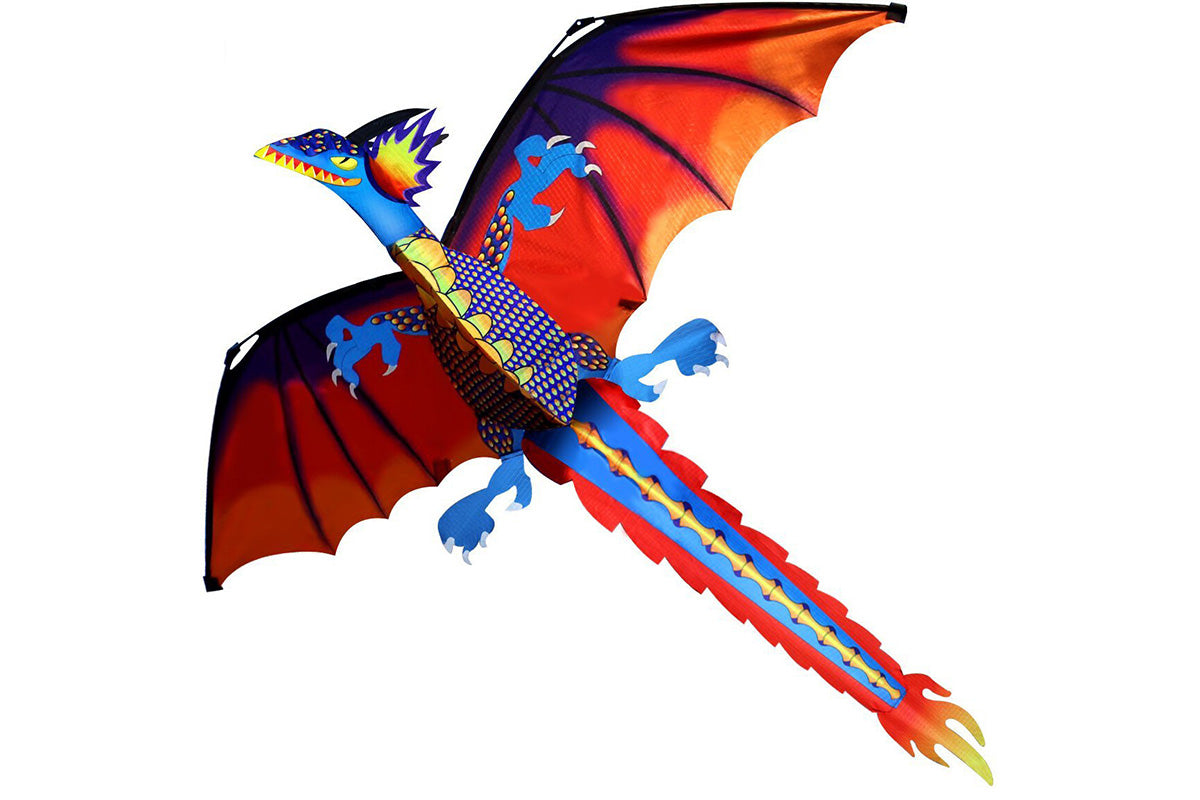 Outdoor Colorful 3D Dragon Flying Kite with 100m Tail Line 1.4m