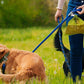 2PCS Metal Dog Poop Bag Holder Clip for Leash Hands Free Waste Disposal