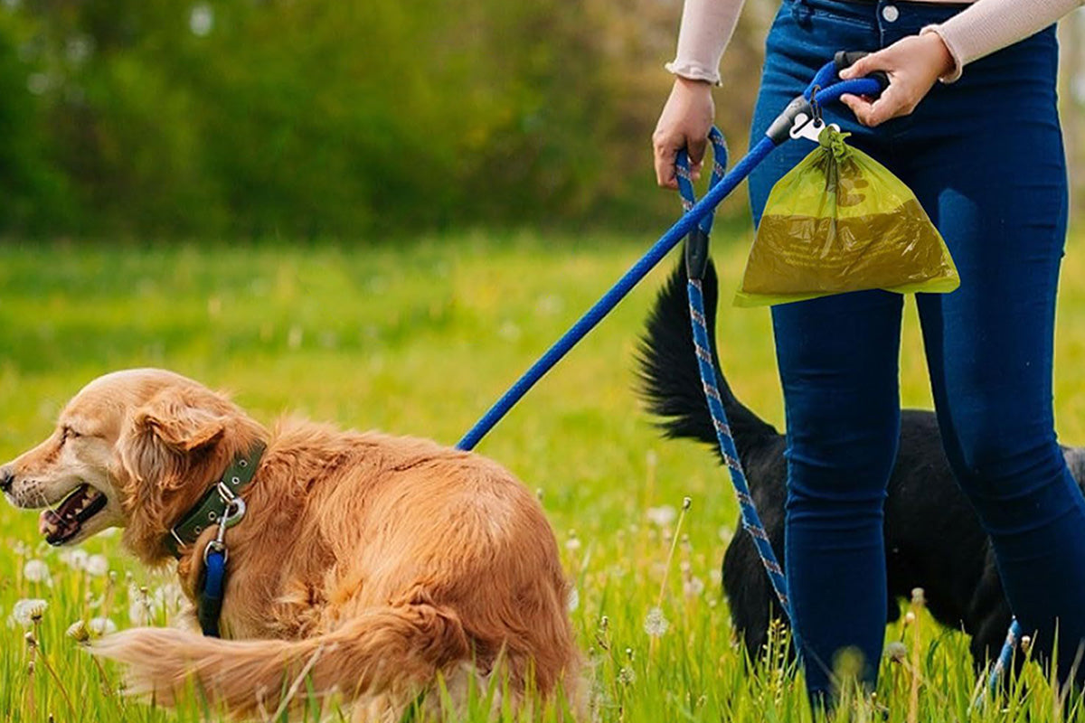 2PCS Metal Dog Poop Bag Holder Clip for Leash Hands Free Waste Disposal