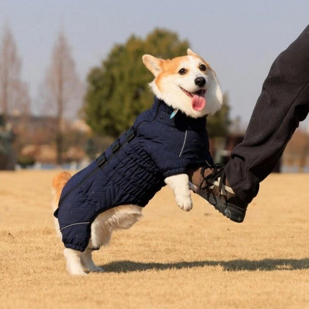 Dog Coat 4 Legs Covered Windproof Waterproof Dog Winter Jacket-Blue
