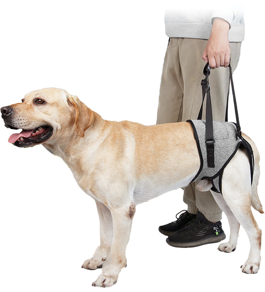 Dog Adjustable Lift Harness Back Legs Dog Sling