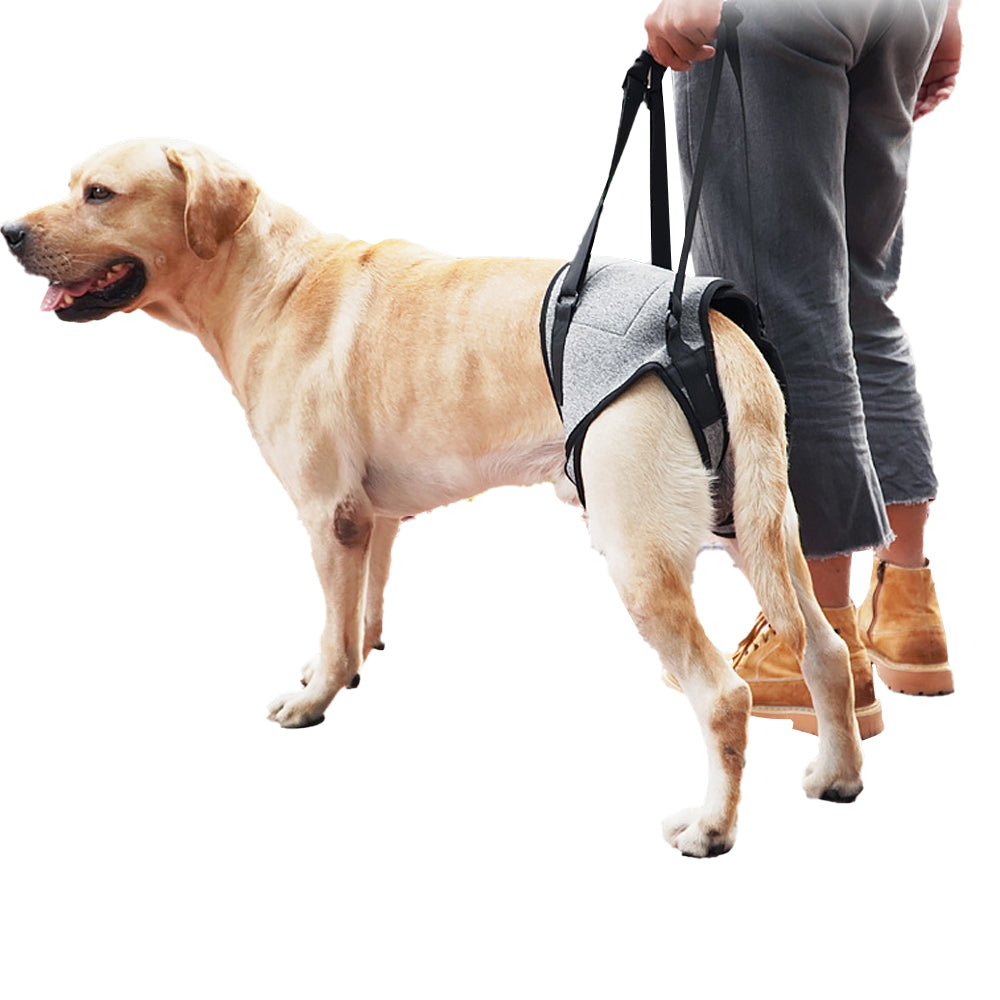 Dog Adjustable Lift Harness Back Legs Dog Sling