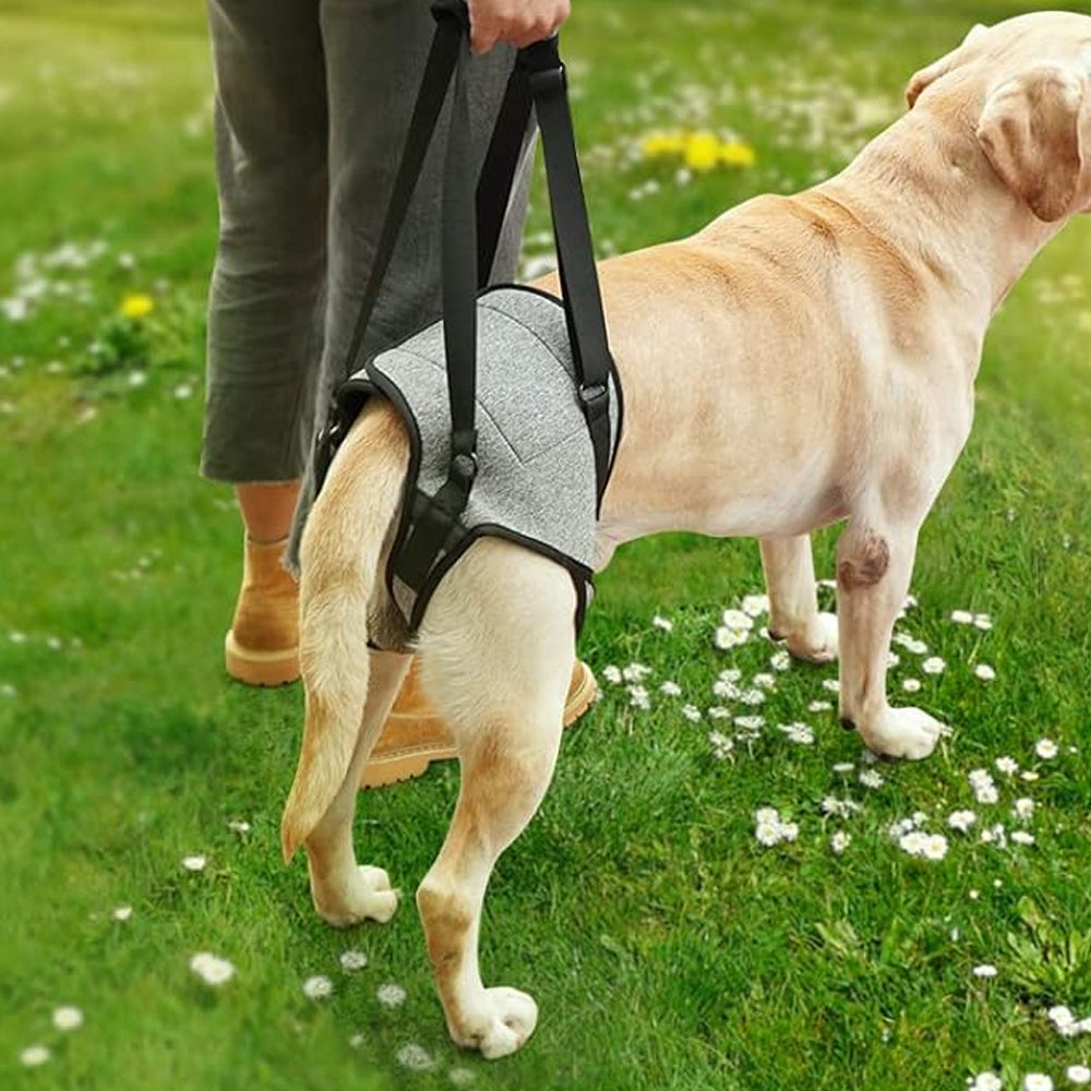 Dog Adjustable Lift Harness Back Legs Dog Sling