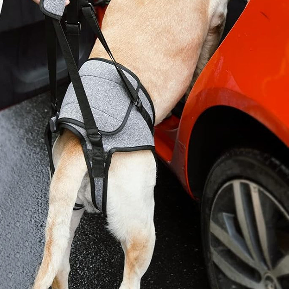 Dog Adjustable Lift Harness Back Legs Dog Sling