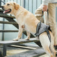 Dog Adjustable Lift Harness Back Legs Dog Sling