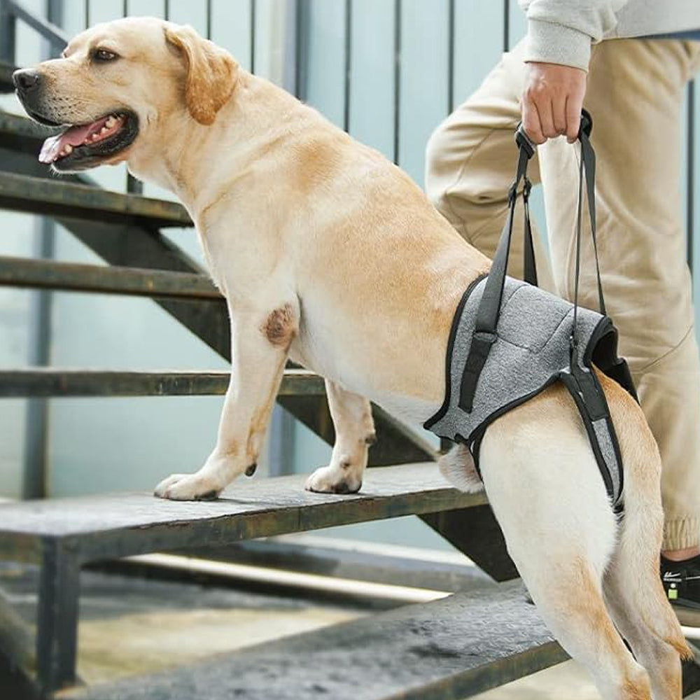 Dog Adjustable Lift Harness Back Legs Dog Sling