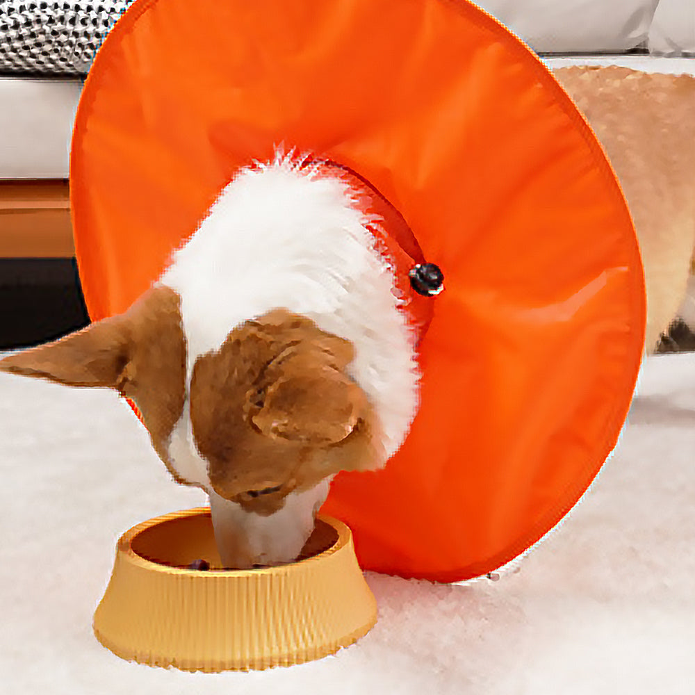 Adjustable Water Resistant Dog Cone Dog Recovery Collar