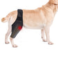 Pet Dog Knee Support Brace Leg Hock Front Back Protector Compression Wrap