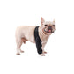 Pet Dog Knee Support Brace Leg Hock Front Back Protector Compression Wrap