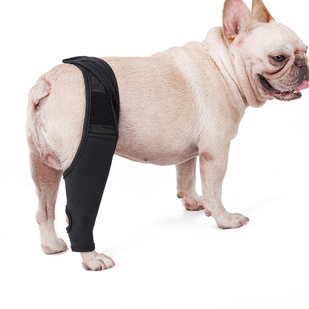 Pet Dog Knee Support Brace Leg Hock Front Back Protector Compression Wrap