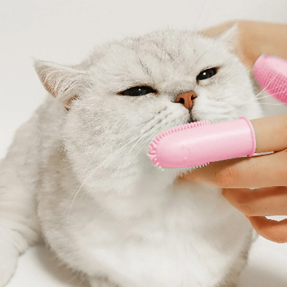 3Pcs Double-finger Dog Toothbrush Silicone Cat Finger Tooth Brushing Kit Pet Tooth Brush