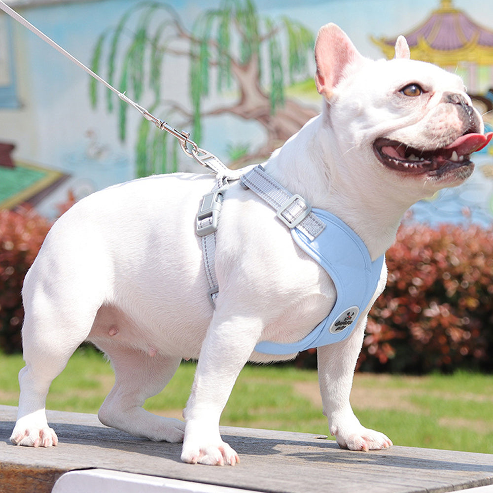 Dog Harness and Leash Set Escape Proof Vest Harnesses
