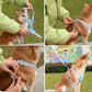 Dog Harness and Leash Set Escape Proof Vest Harnesses