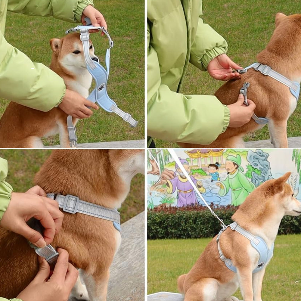 Dog Harness and Leash Set Escape Proof Vest Harnesses