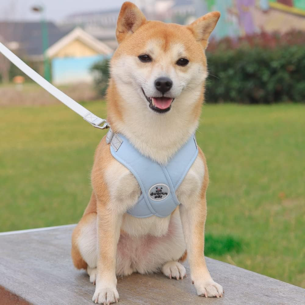 Dog Harness and Leash Set Escape Proof Vest Harnesses