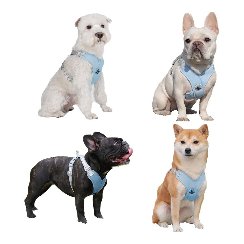 Dog Harness and Leash Set Escape Proof Vest Harnesses