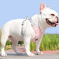 Dog Harness and Leash Set Escape Proof Vest Harnesses