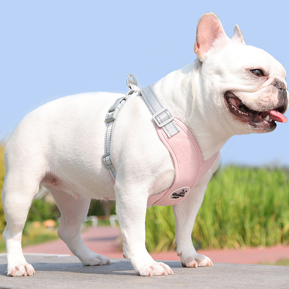 Dog Harness and Leash Set Escape Proof Vest Harnesses