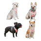 Dog Harness and Leash Set Escape Proof Vest Harnesses