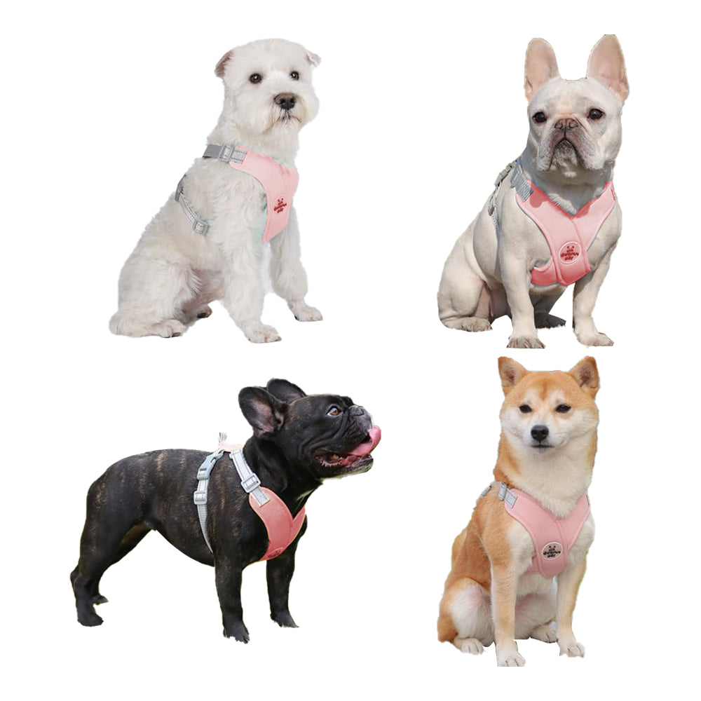 Dog Harness and Leash Set Escape Proof Vest Harnesses