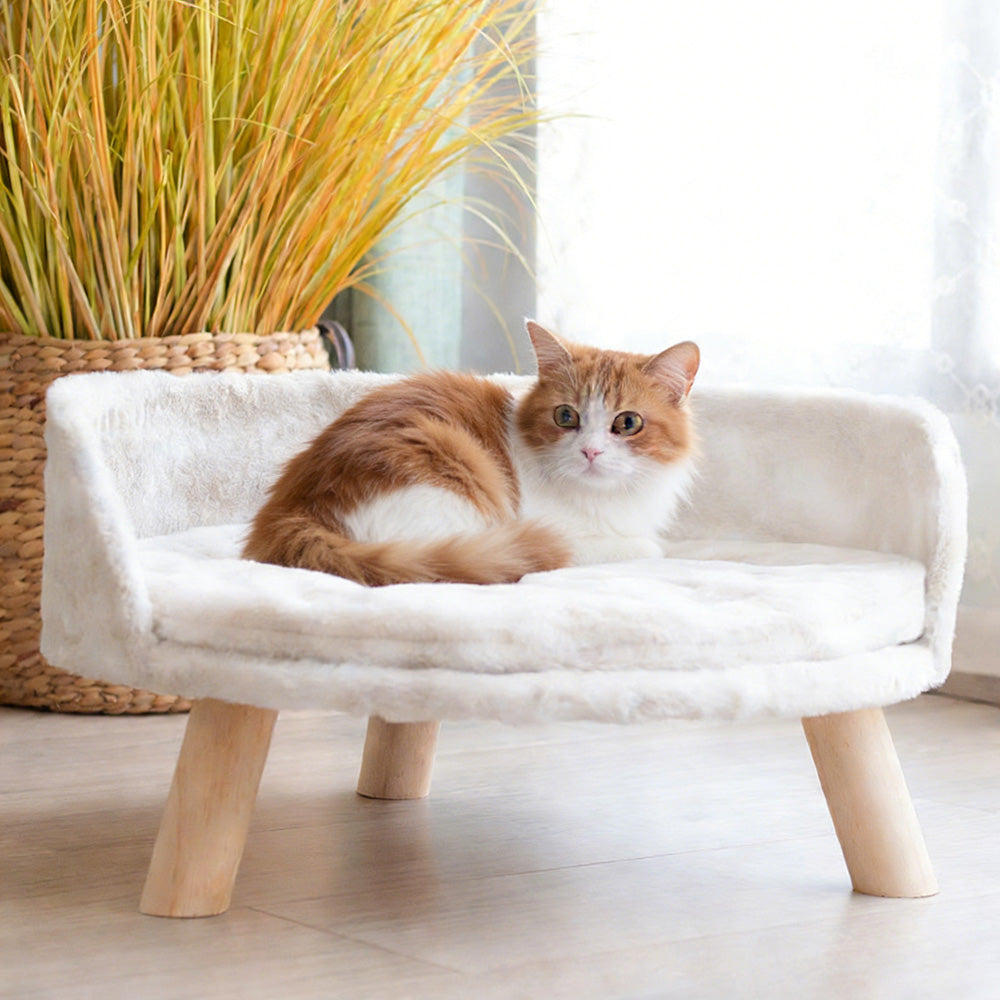 Elevated Dog Cat Bed Sofa Couch Kitten Lounge Raised Pet Bed with Legs