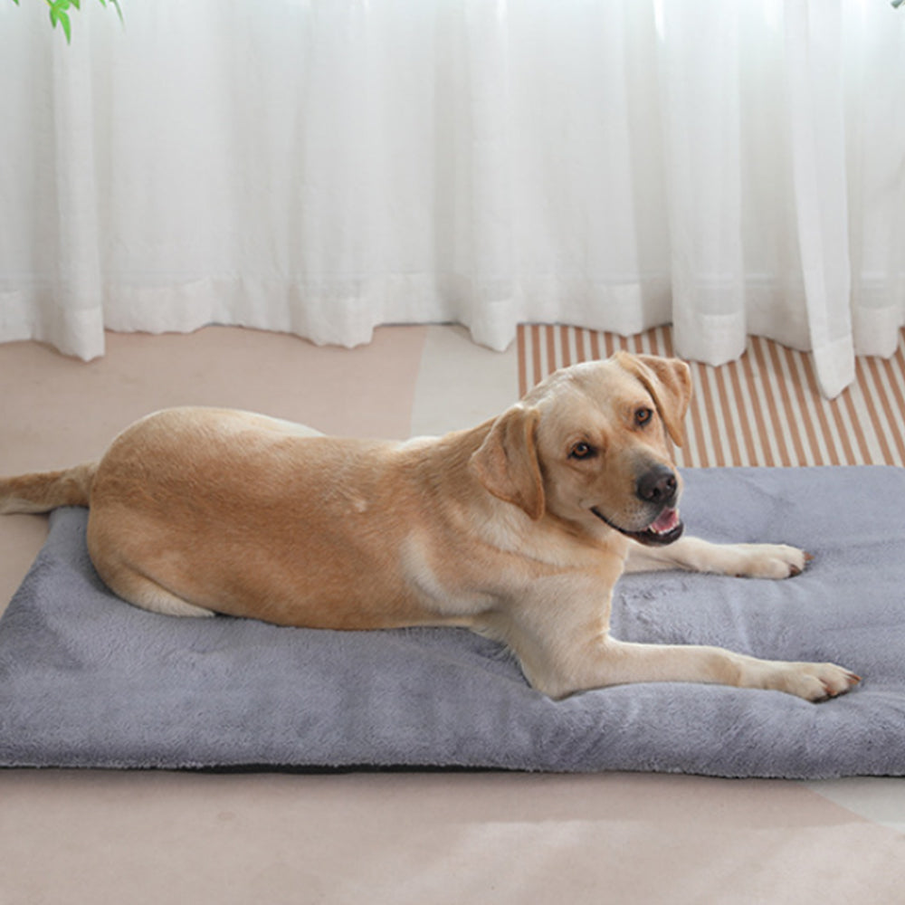 Self-Heating Pet Blanket