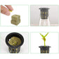 Grow Starter Rockwool Cubes Hydroponics Plant Net Cup Basket Aquaponic
