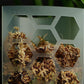 Moss Pole Plant Extension Support Tall Plant Sticks Support for Climbing Plants
