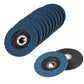 10 PCS 125mm Flap Discs Aluminum Grinding Discs for Angle Grinder to Sanding Grinding Metal Wood