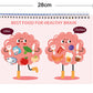 Montessori Busy Book Human Body Anatomy Book Learning Human Body Activities Book