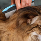 Two Sets Pet Grooming Combo Shedding and Dematting Brush for Dogs Cats