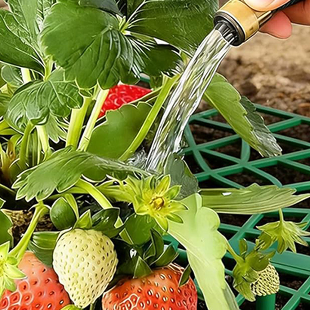 10 Pack Strawberry Plant Support Reusable Garden Trellis Plant Holder