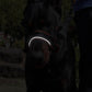 Adjustable Dog Head Collar with Padded Nose Loop for Training