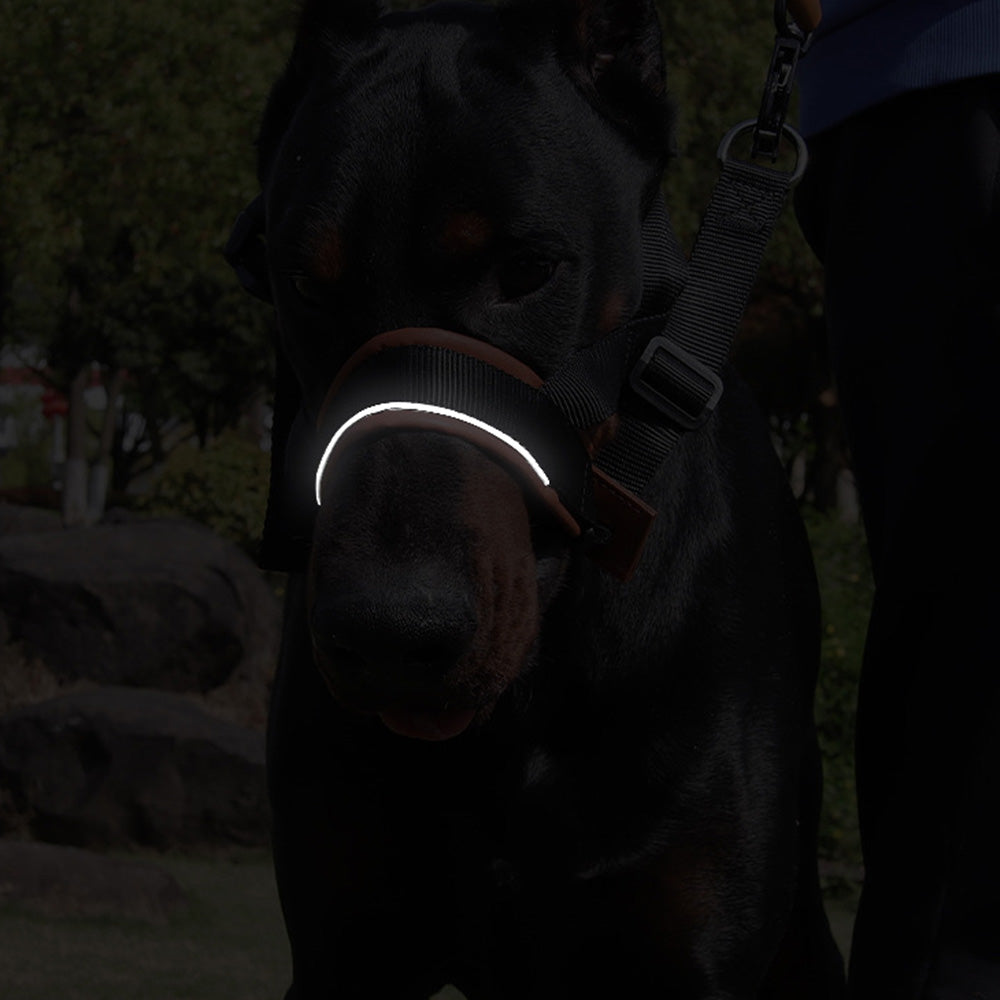 Adjustable Dog Head Collar with Padded Nose Loop for Training