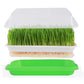 5 Pack Seed Sprouter Trays for Microgreens Soil-Free Growing with Drain Holes