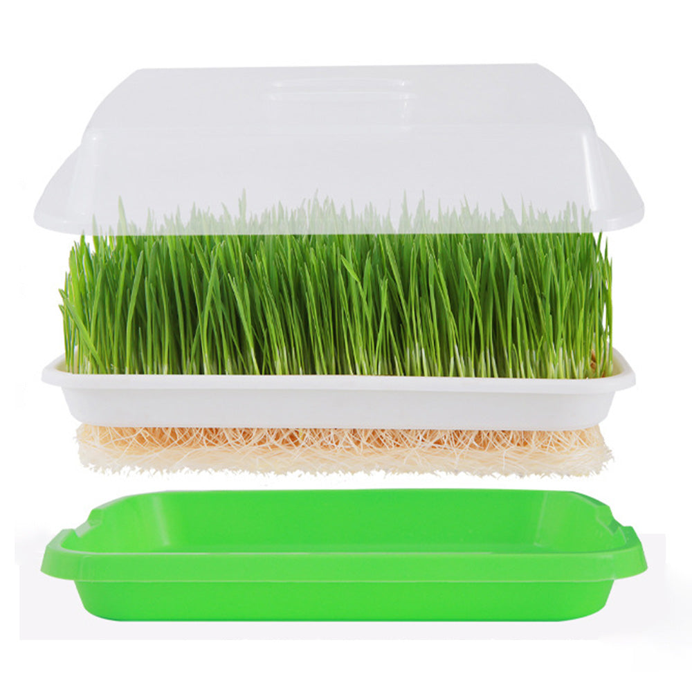 5 Pack Seed Sprouter Trays for Microgreens Soil-Free Growing with Drain Holes