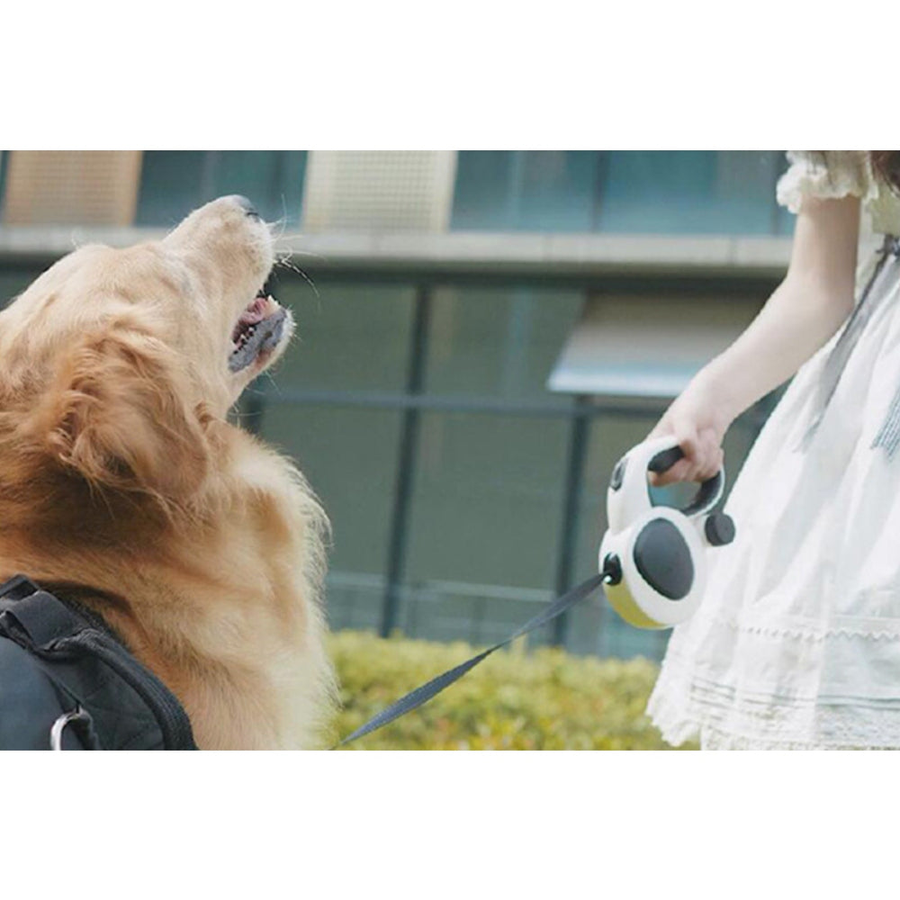 5m Auto Retractable Dog Leash with LED Light Pet Walking Lead for Small Medium Large Dogs