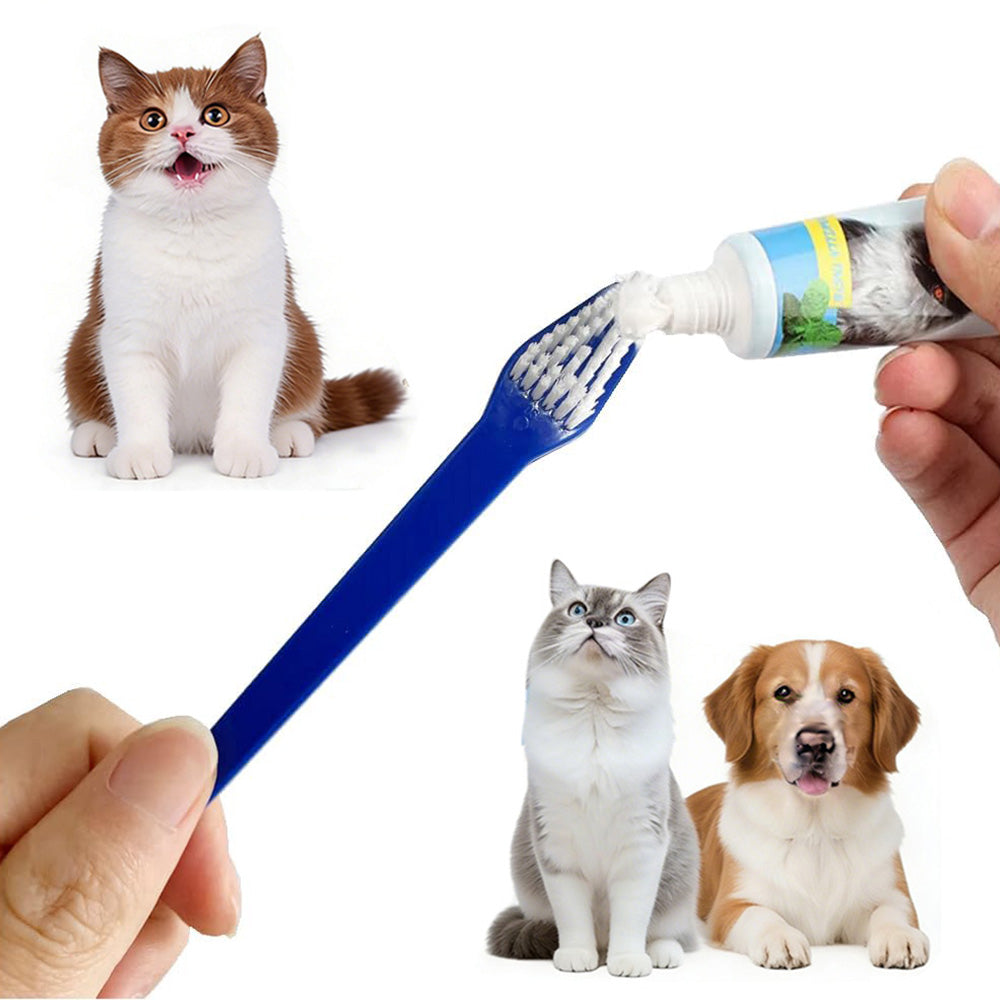 10 Pcs Pet Toothbrush Dual-End Long Handle for Dogs Cats
